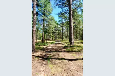 19953 Vista Clara Lane, Monument, CO 80132 - Photo 14