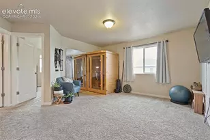 7801 Dry Willow Wy, Colorado Springs, CO 80908 - Photo 18