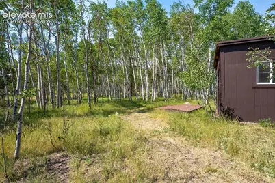 106 Forest Court, Guffey, CO 80820 - Photo 12