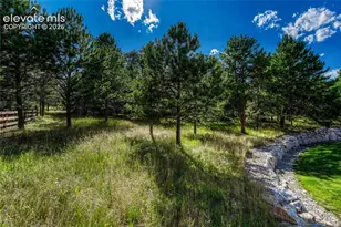 1103 Greenland Forest Dr, Monument, CO 80132 - Photo 40