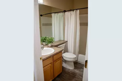 16217 Windsor Creek Drive, Monument, CO 80132 - Photo 12