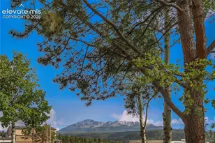 401 Forest Edge Rd, Woodland Park, CO 80863 - Photo 4