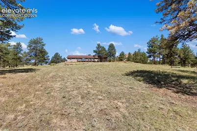 34 Fetlock Circle, Florissant, CO 80816 - Photo 46