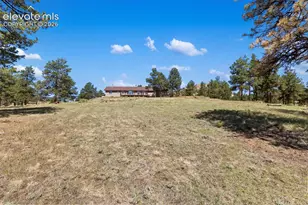 34 Fetlock Cir, Florissant, CO 80816 - Photo 46