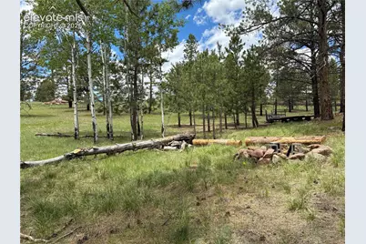 266 Chapparal Trail, Florissant, CO 80816 - Photo 30