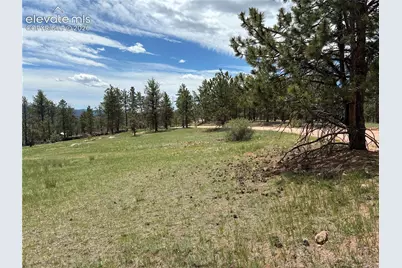 266 Chapparal Trail, Florissant, CO 80816 - Photo 2