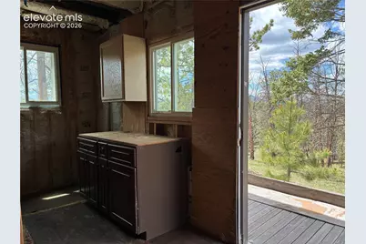266 Chapparal Trail, Florissant, CO 80816 - Photo 16