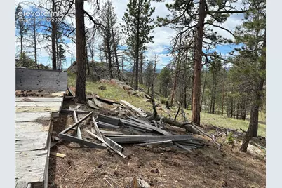 266 Chapparal Trail, Florissant, CO 80816 - Photo 24