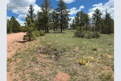 266 Chapparal Trail, Florissant, CO 80816 - Photo 4