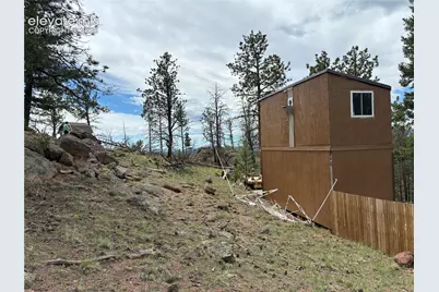 266 Chapparal Trail, Florissant, CO 80816 - Photo 20