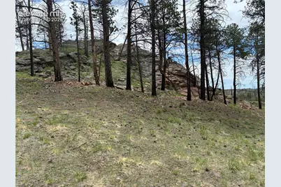 266 Chapparal Trail, Florissant, CO 80816 - Photo 28