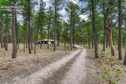 9950 Pine Park Trail, Colorado Springs, CO 80908 - Photo 6