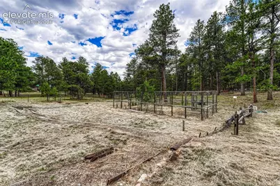 9950 Pine Park Trail, Colorado Springs, CO 80908 - Photo 38
