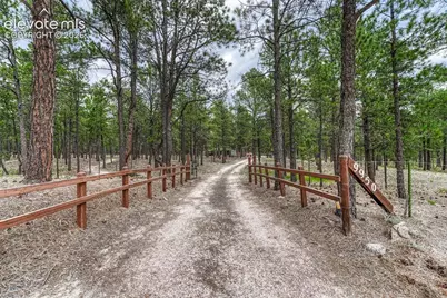 9950 Pine Park Trail, Colorado Springs, CO 80908 - Photo 4
