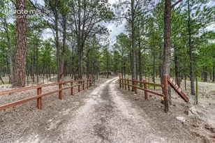 9950 Pine Park Trail, Colorado Springs, CO 80908 - Photo 4