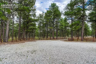 9950 Pine Park Trail, Colorado Springs, CO 80908 - Photo 36