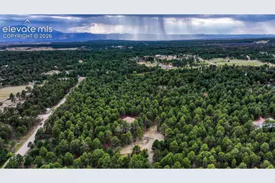 9950 Pine Park Trail, Colorado Springs, CO 80908 - Photo 8