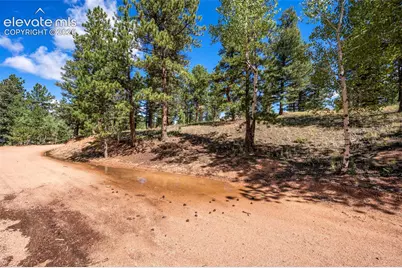 210 Donzi Trail, Florissant, CO 80816 - Photo 22