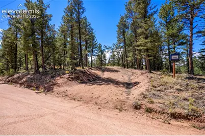 210 Donzi Trail, Florissant, CO 80816 - Photo 18