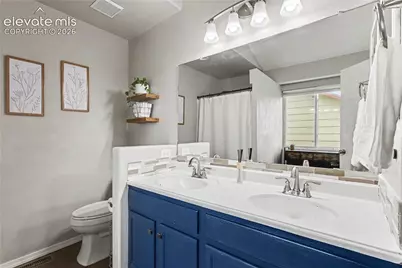 6025 Fescue Drive, Colorado Springs, CO 80923 - Photo 12