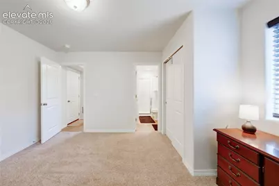 8042 Jayla Trail, Colorado Springs, CO 80908 - Photo 6