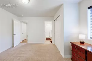 8042 Jayla Trl, Colorado Springs, CO 80908 - Photo 6
