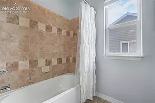 976 Pistol River Way, Colorado Springs, CO 80921 - Photo 30