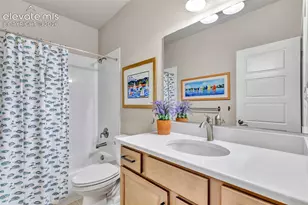 10056 Emerald Lk Ln, Colorado Springs, CO 80924 - Photo 40