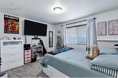 9003 Yellowtail Way, Colorado Springs, CO 80908 - Photo 18