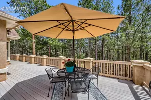 15931 Waving Branch Way, Colorado Springs, CO 80908 - Photo 16