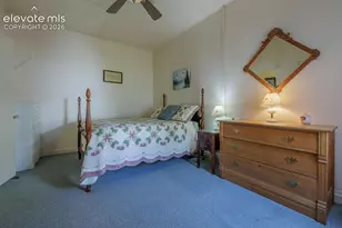 517 Portland Ave, Victor, CO 80860 - Photo 8