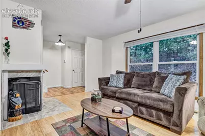 381 Raspberry Lane, Monument, CO 80132 - Photo 10