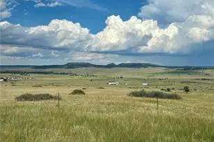 19610 Birdseye View, Peyton, CO 80831 - Photo 30