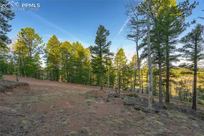 88 Malmsey Lane, Divide, CO 80814 - Photo 12