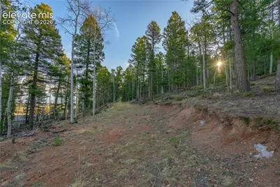88 Malmsey Lane, Divide, CO 80814 - Photo 2