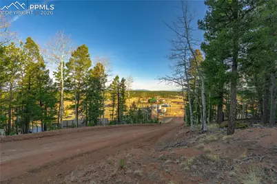 88 Malmsey Lane, Divide, CO 80814 - Photo 14