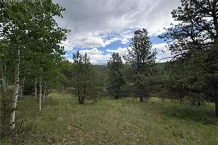 532 May Queen Dr, Cripple Creek, CO 80813 - Photo 1