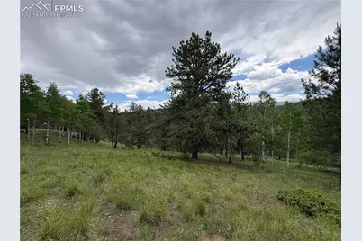 532 May Queen Drive, Cripple Creek, CO 80813 - Photo 2