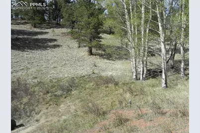 1699 Monarch Drive, Cripple Creek, CO 80813 - Photo 4