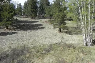 1699 Monarch Dr, Cripple Creek, CO 80813 - Photo 1