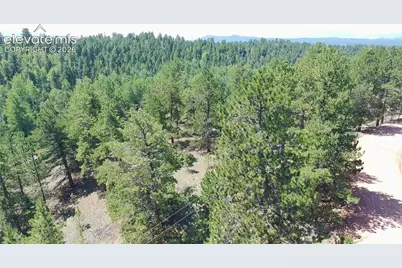 719 Spring Valley Lane, Florissant, CO 80816 - Photo 10