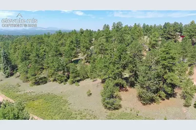 719 Spring Valley Lane, Florissant, CO 80816 - Photo 2