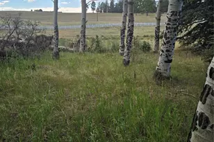 199 Joshua Rd, Divide, CO 80814 - Photo 1