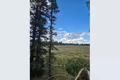 199 Joshua Road, Divide, CO 80814 - Photo 2