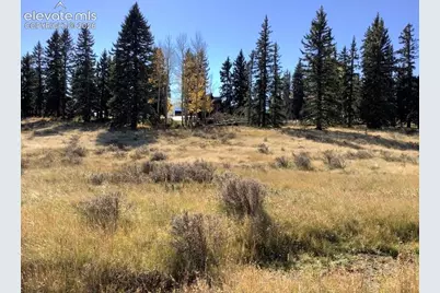 199 Joshua Road, Divide, CO 80814 - Photo 4