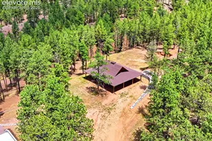 584 Pikes Peak Dr, Divide, CO 80814 - Photo 28