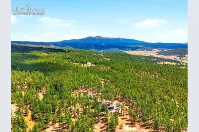 584 Pikes Peak Drive, Florissant, CO 80814 - Photo 50