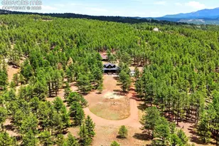 584 Pikes Peak Dr, Divide, CO 80814 - Photo 48