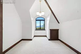 584 Pikes Peak Dr, Divide, CO 80814 - Photo 34
