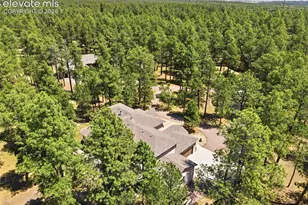 10916 Silver Mountain Point, Colorado Springs, CO 80908 - Photo 46